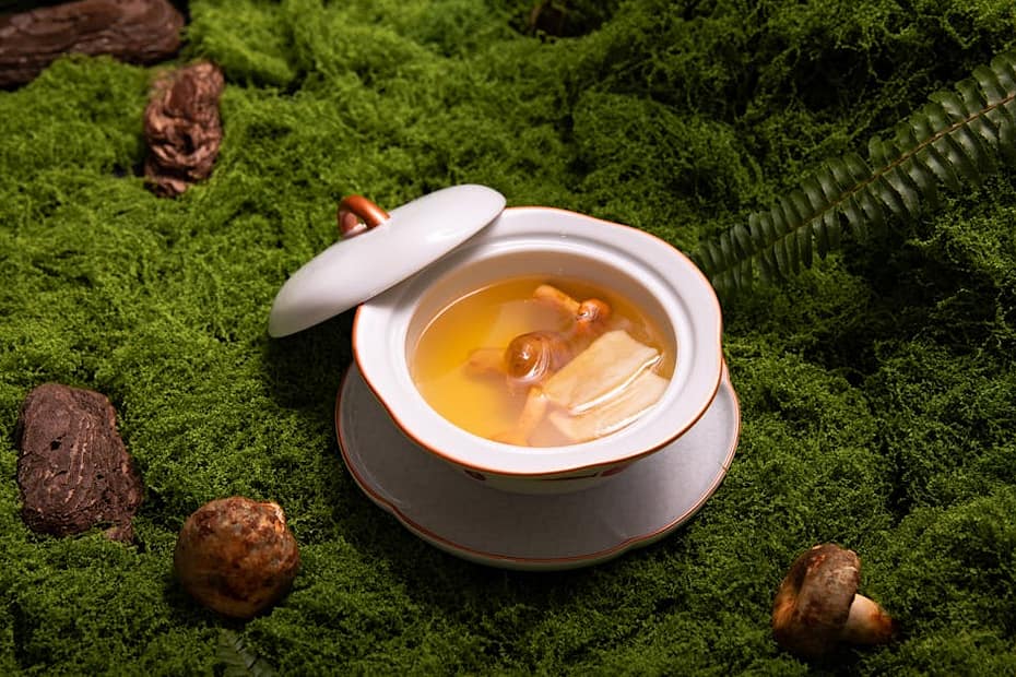 White porcelain bowl with lid containing herbal mushroom soup placed on a lush green mossy forest floor.
